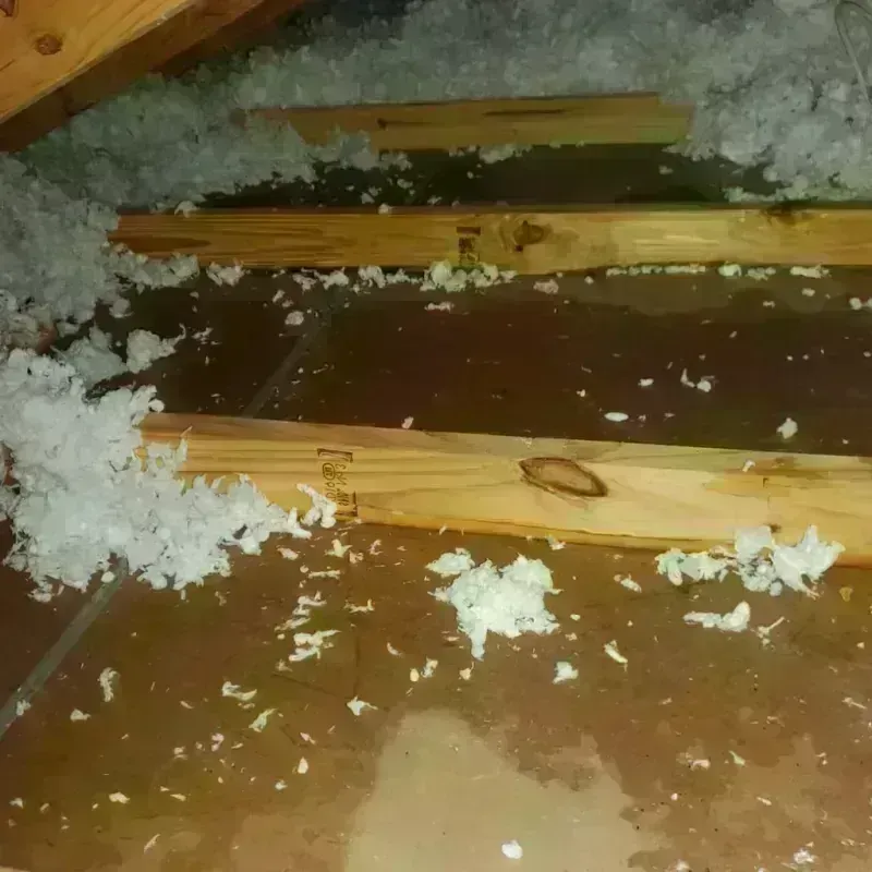 Attic Water Damage in Evergreen, WI