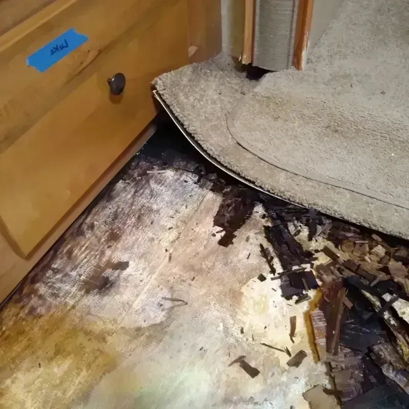 Wood Floor Water Damage in Evergreen, WI